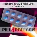 Kamagra 100 Mg Jalea Oral Cómo Usar viagra3